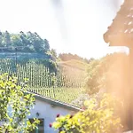 Domaine Des 7 Cepages